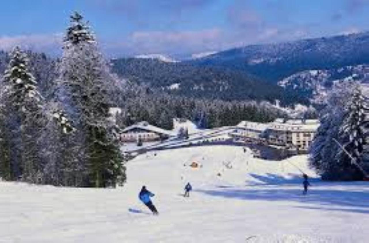 Osenbach Maison De Vacances "Le Longchamp" 빌라 외부 사진